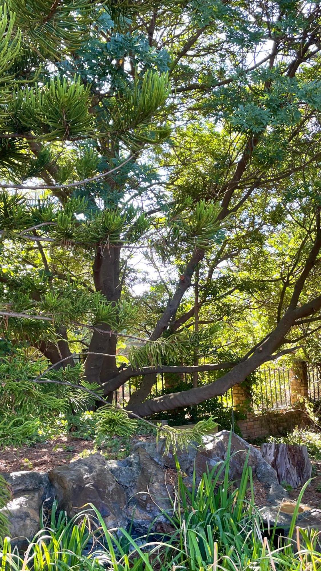 Вилла Unique Hout Bay House Экстерьер фото